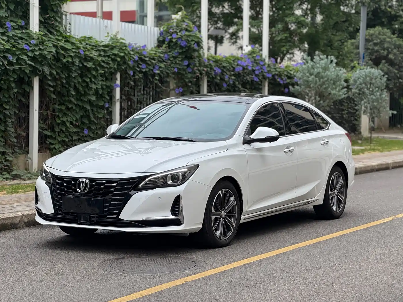 Changan Ruicheng CC 2022 Blue Whale Edition 1.5T DCT Premium