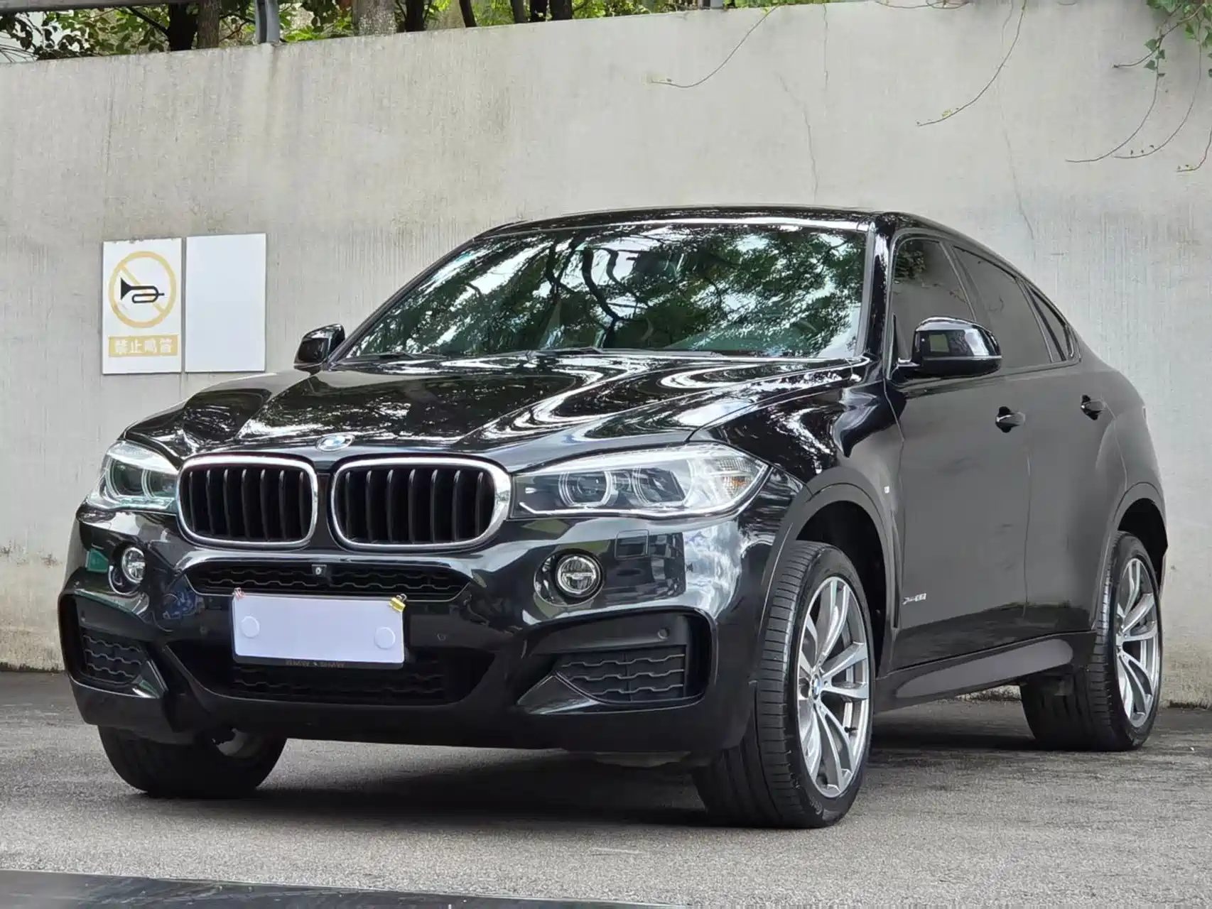 Фото 1 - BMW X6