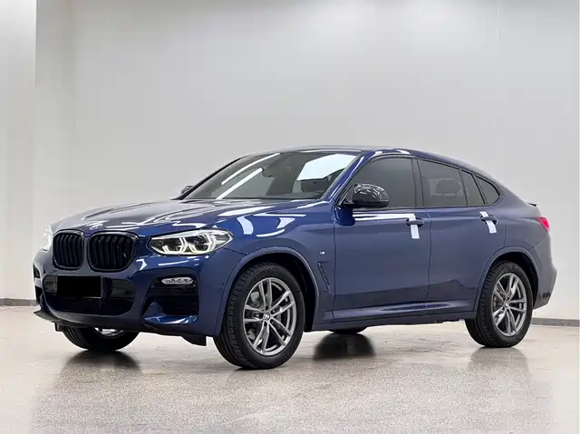 BMW X4 2019 xDrive25i M Sport Package — фото 1