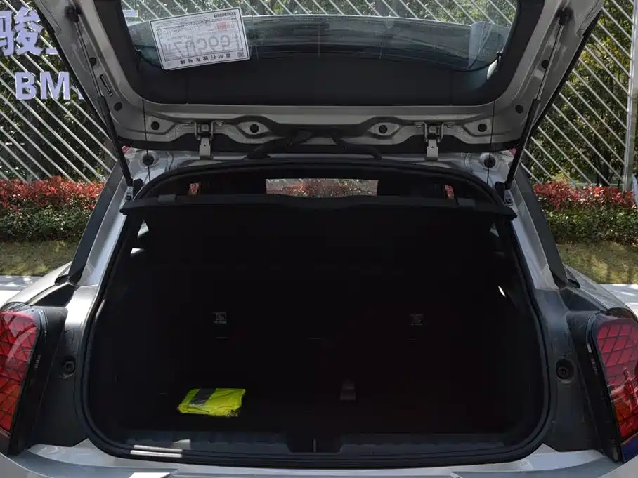 MINI ELECTRIC  JCW ACEMAN