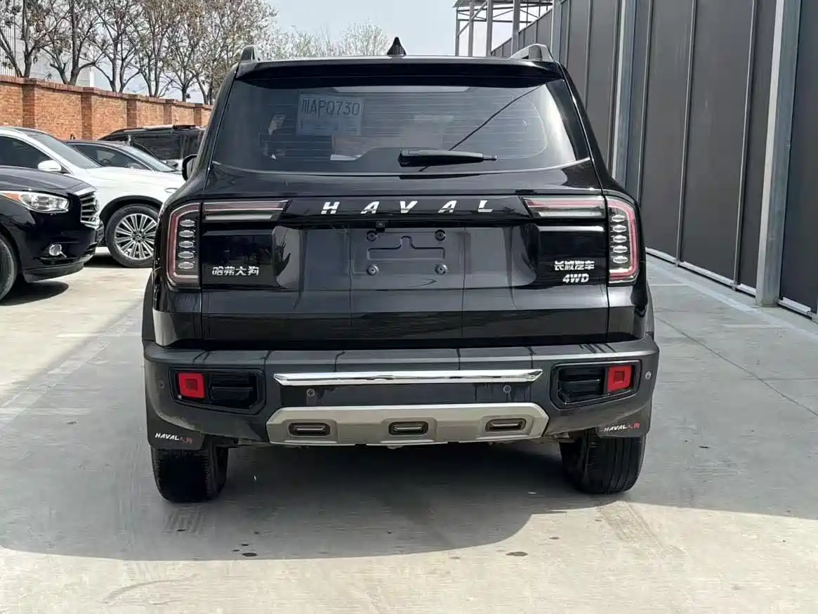 HAVAL BIG DOG