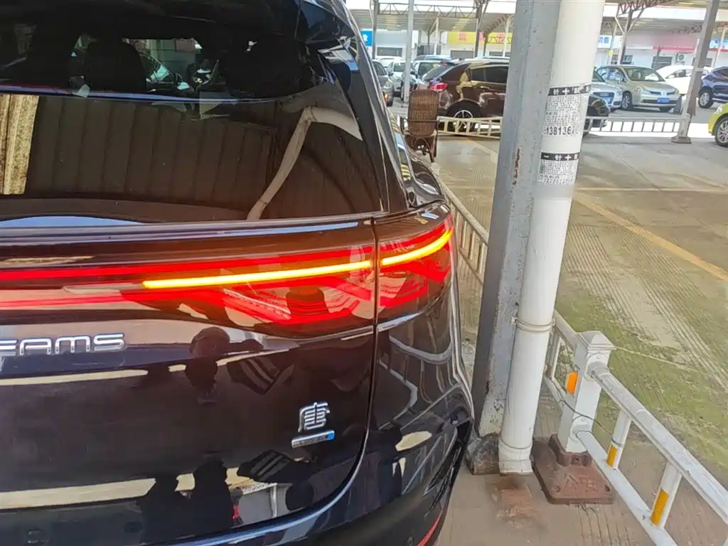 BYD Tang New Energy 2025 Smart Driving Edition DM-i 115KM Flagship фото 8