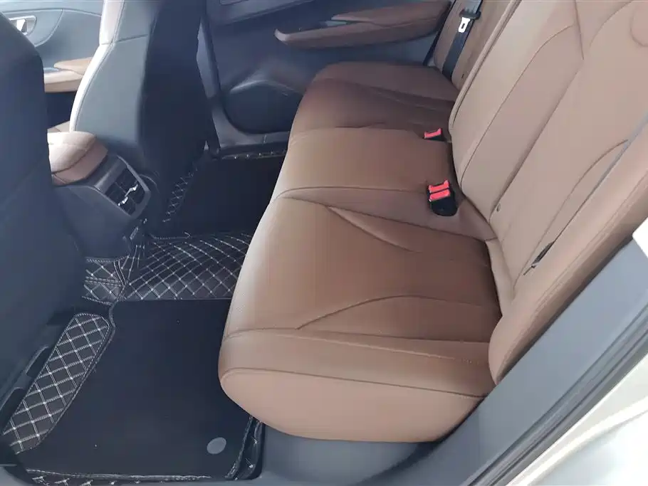 Hongqi E-QM5 2022 431km Charging Enjoyment Edition фото 11