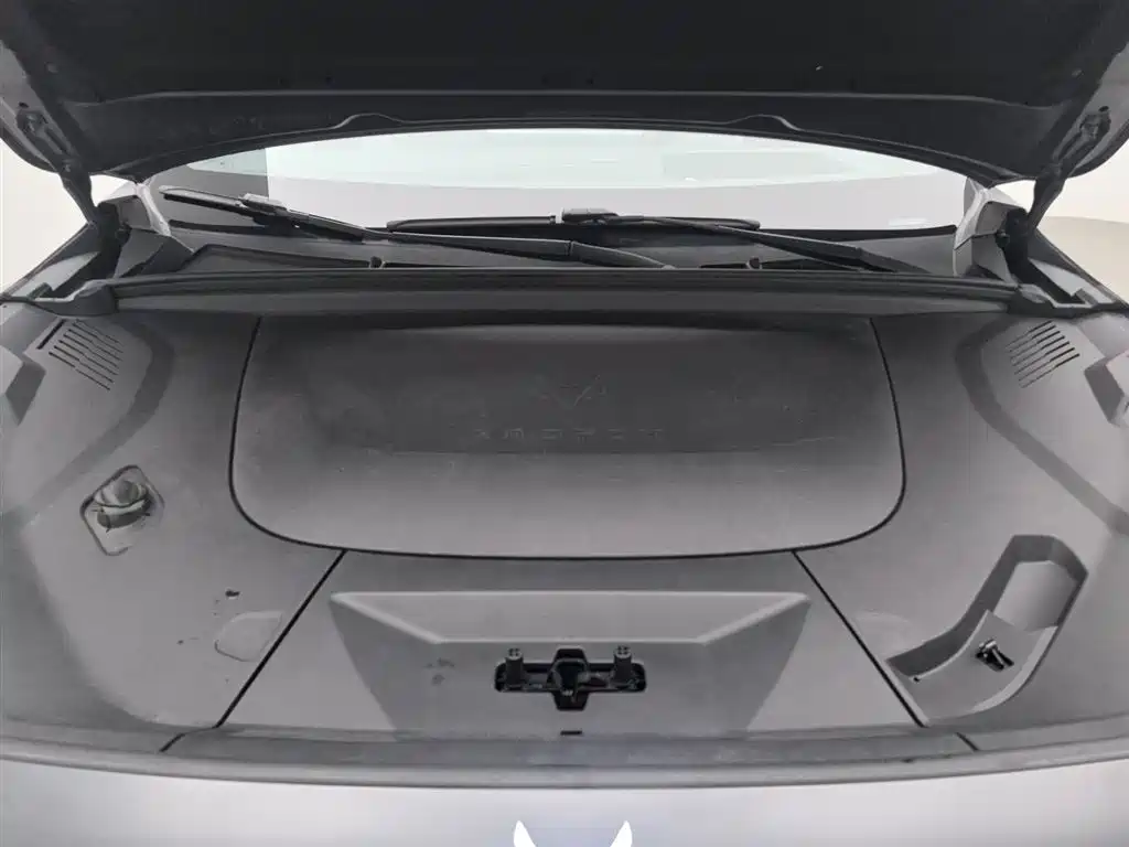 ARCFOX EXTREME FOX POLAR FOX ALPHA T5