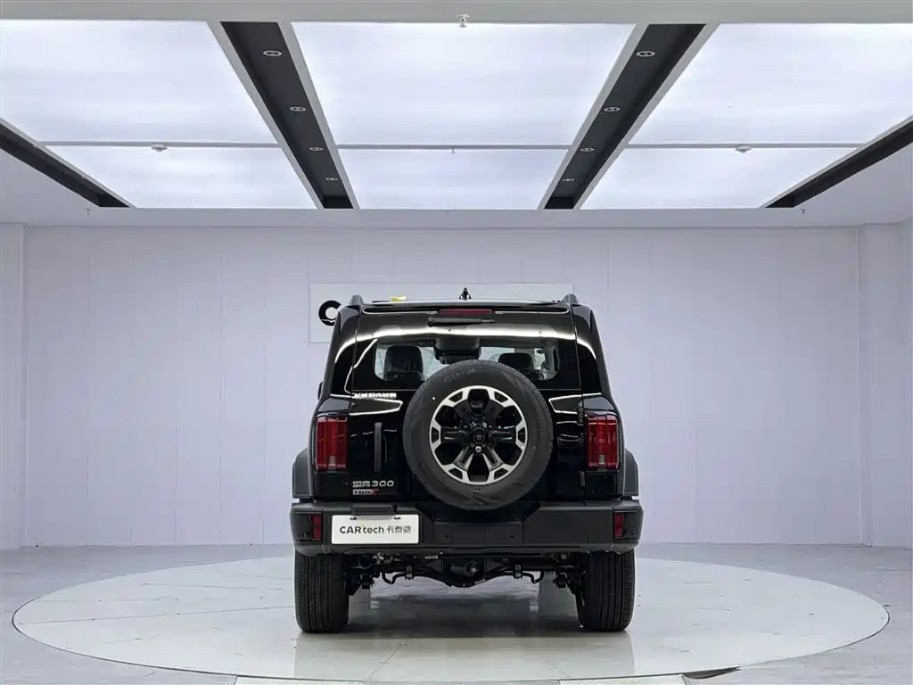 TANK TANK 300 NEW ENERGY