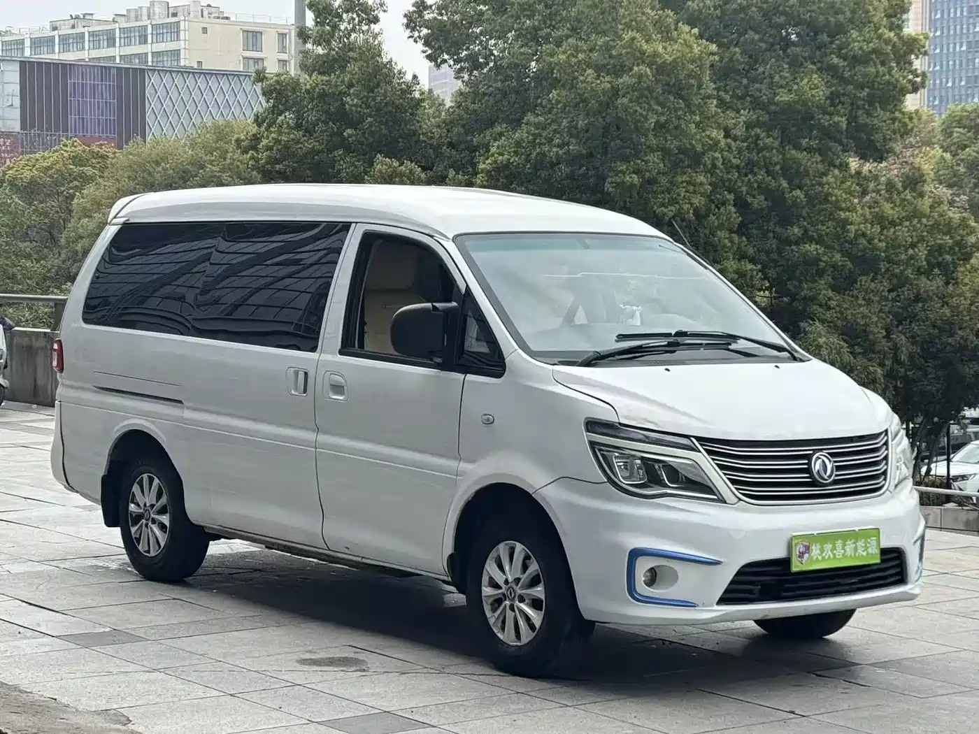 DONGFENG LINGZHI NEW ENERGY