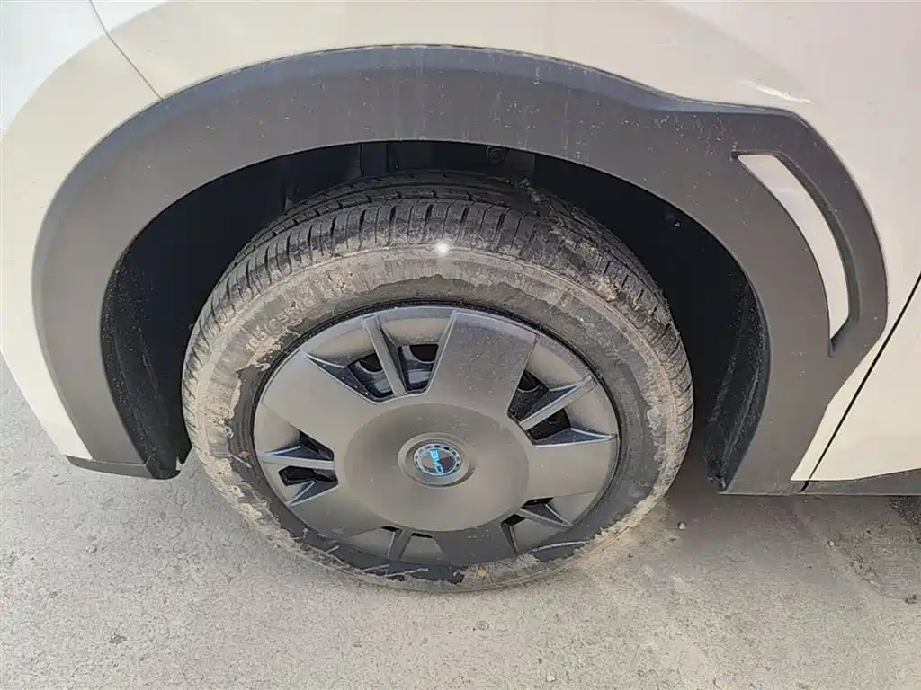 BYD Seagull 2025 Smart Drive Edition 305km Vitality Version фото 23