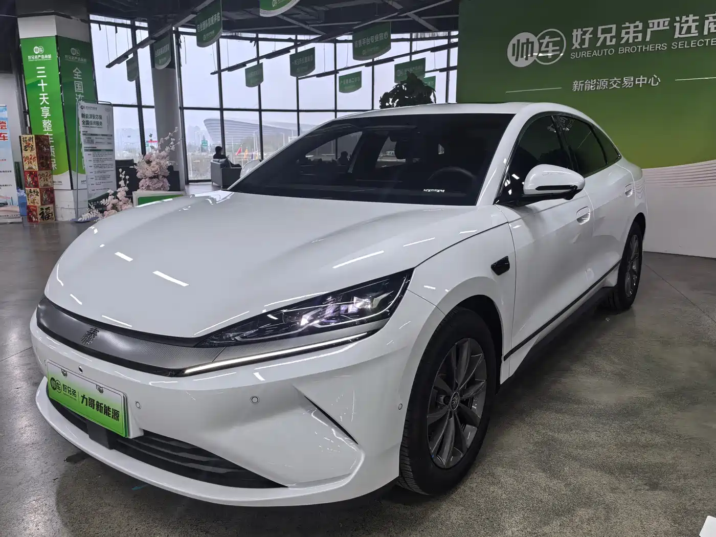 BYD QIN L