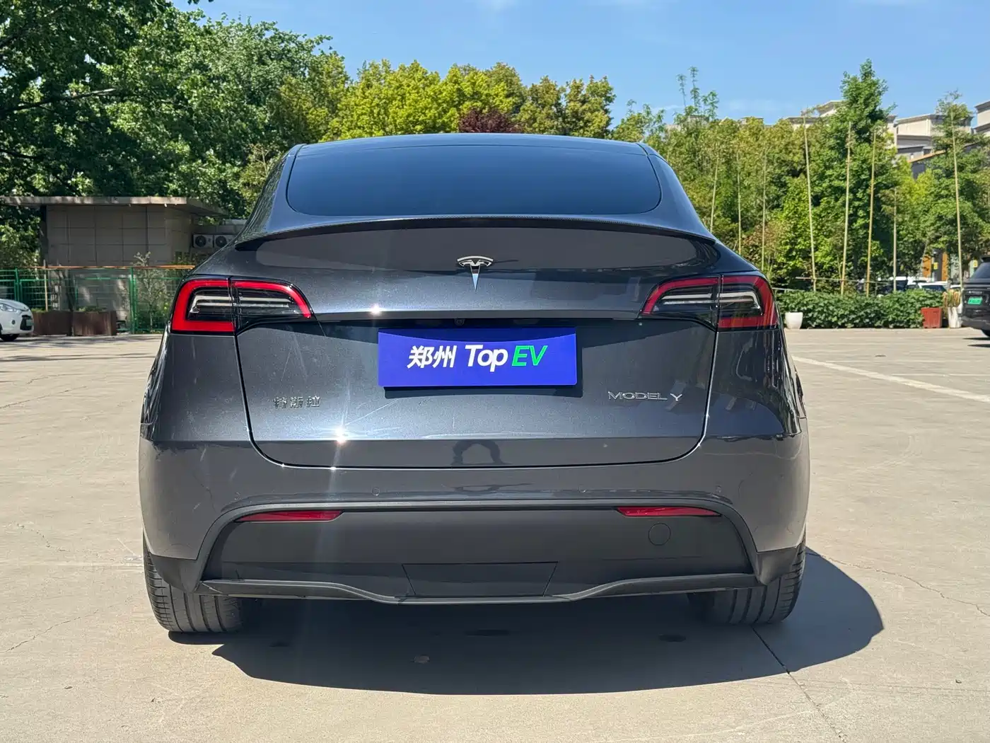 TESLA MODEL Y