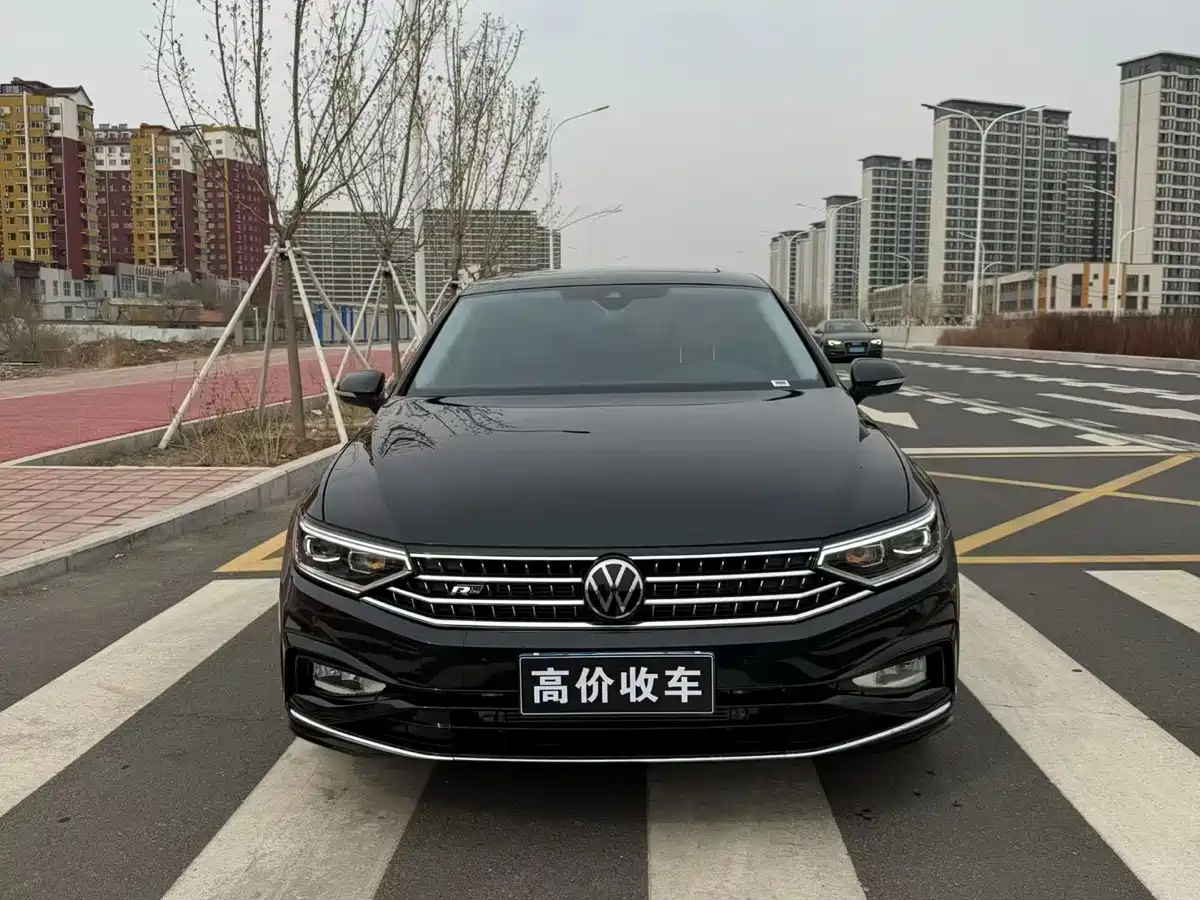 Volkswagen Magotan 2025 Facelift Public Edition 330TSI DSG Luxury фото 2