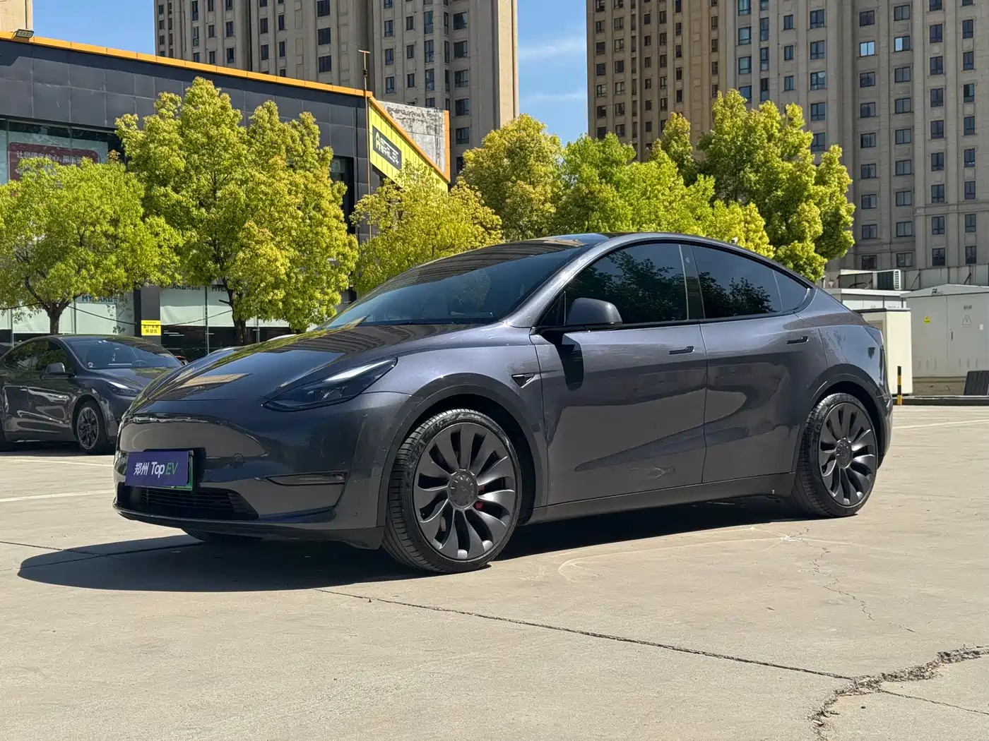 TESLA MODEL Y