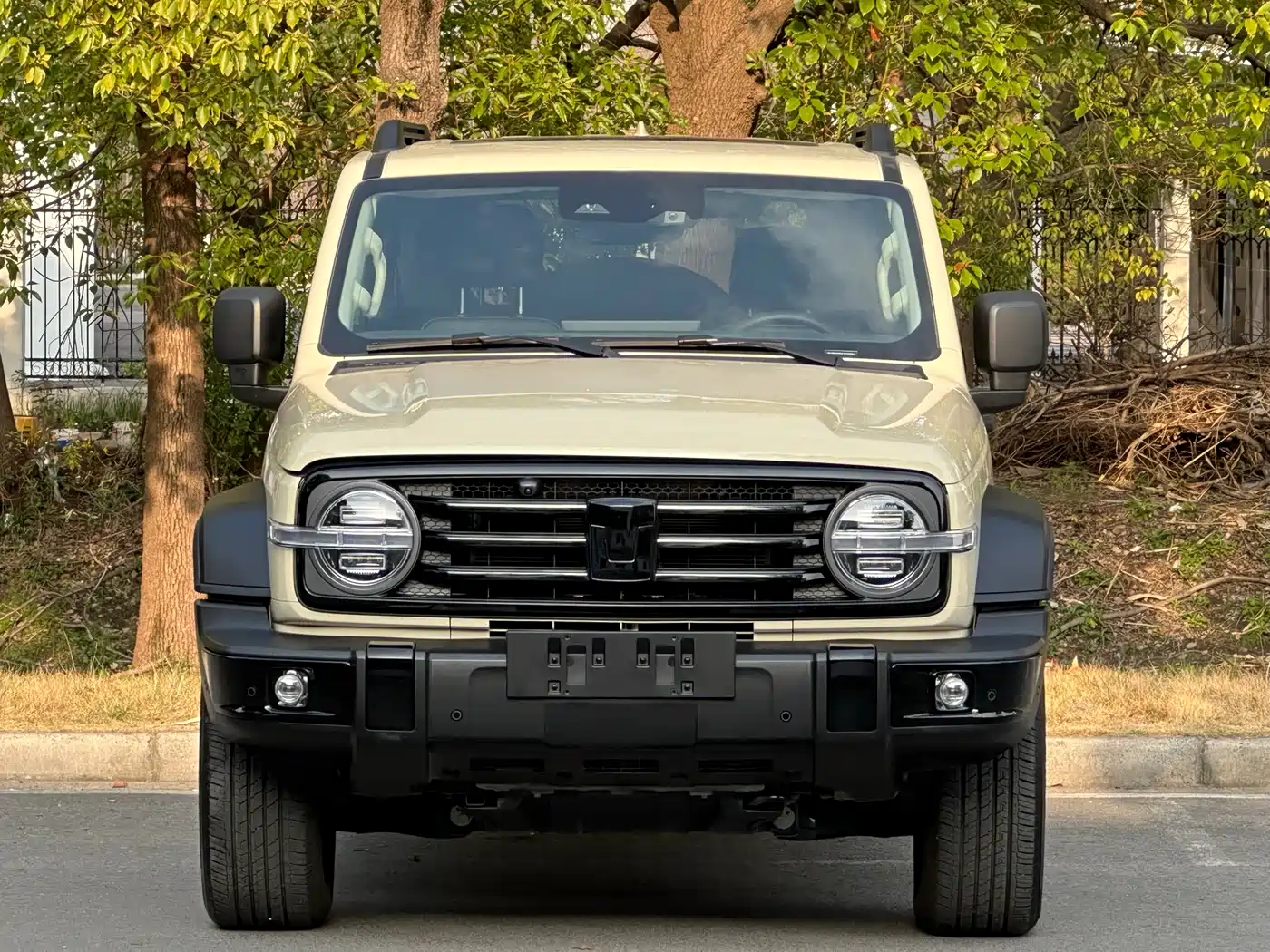 TANK TANK 300 NEW ENERGY