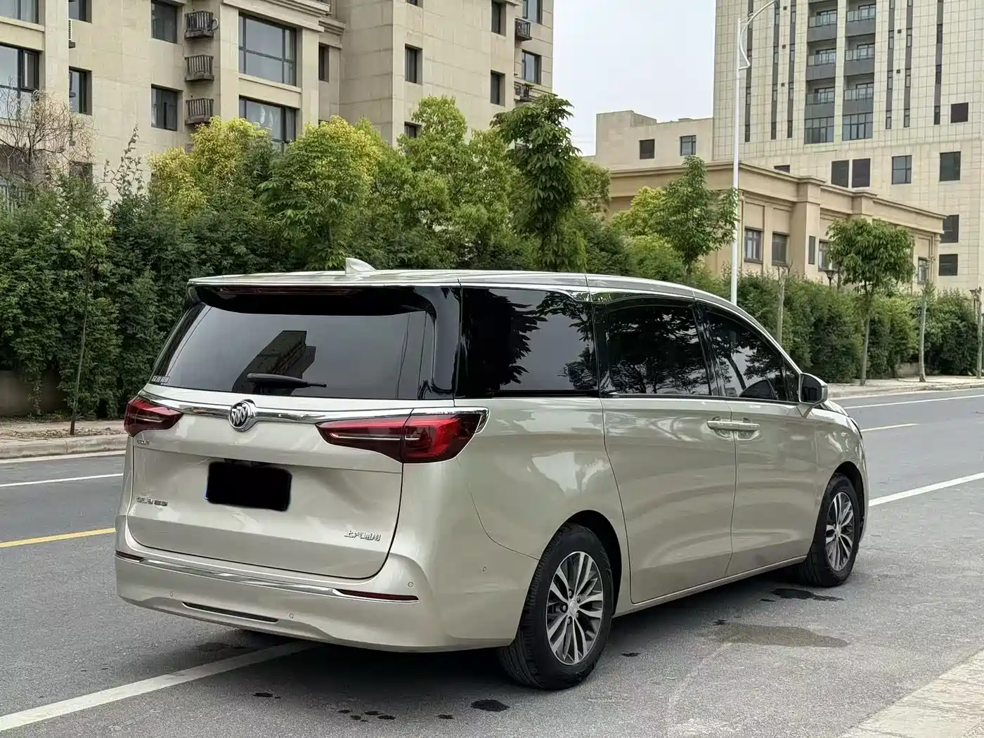 Buick GL8 2021 ES Landlord 653T Premium фото 6