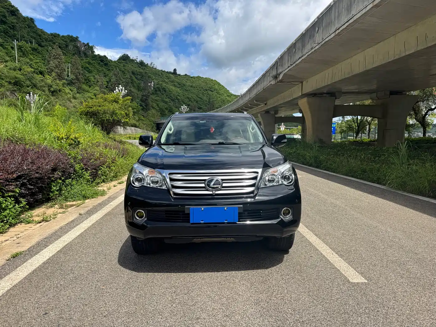 Lexus GX 2012 2010 460