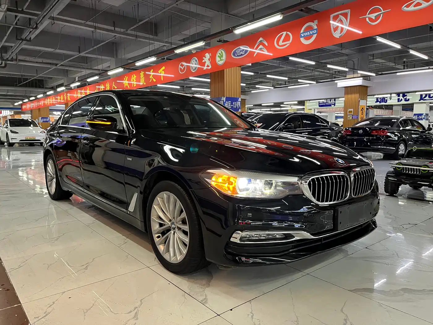 BMW 5 Series 2018 530Li xDrive Luxury Package фото 6