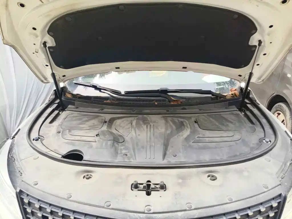 Dongfeng Fengguang Fengguang 580Pro 2019 2020 280TGDI CVT Pilot Edition