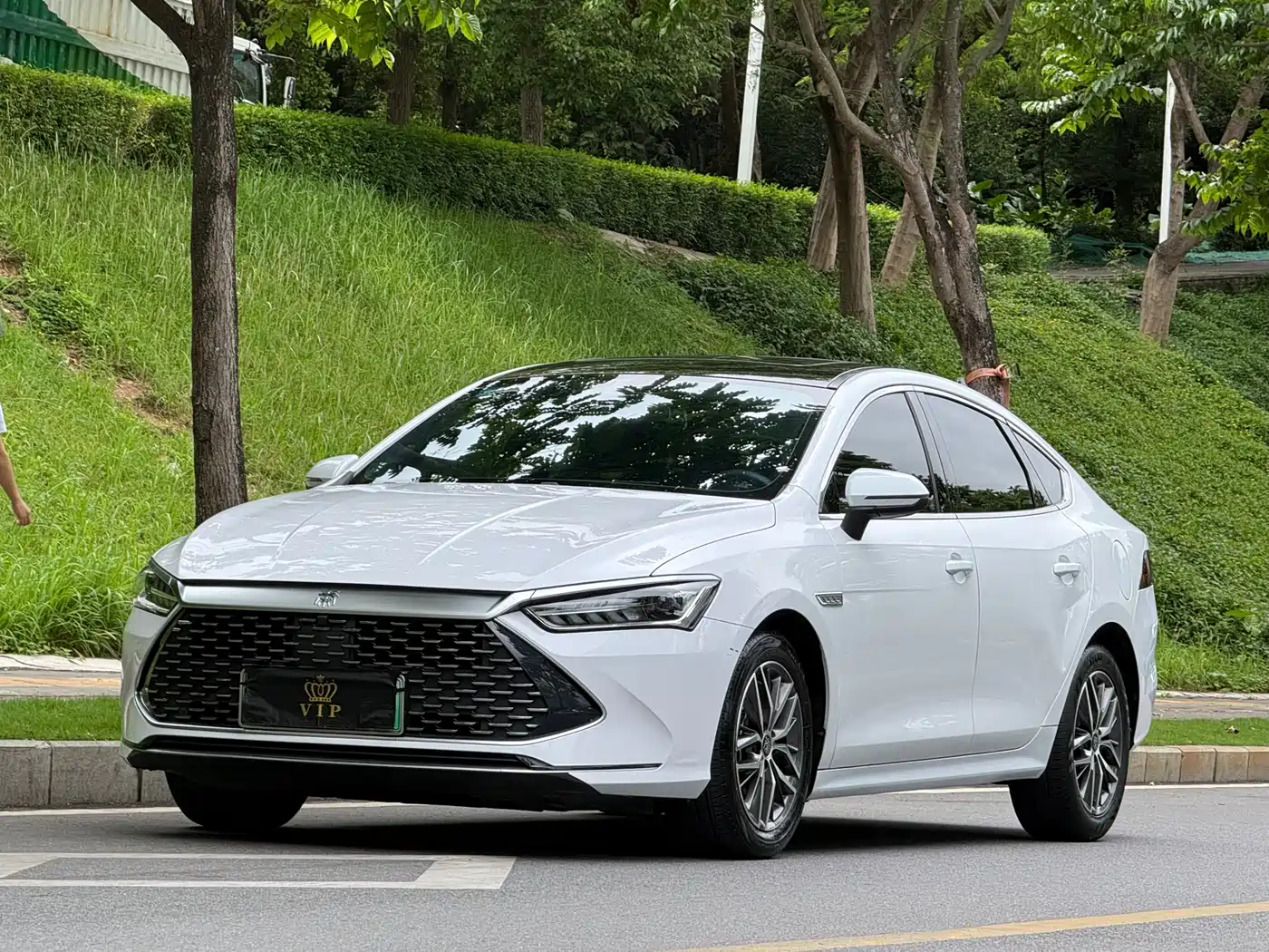 BYD Qin PLUS 2021 DM-i 55KM Flagship