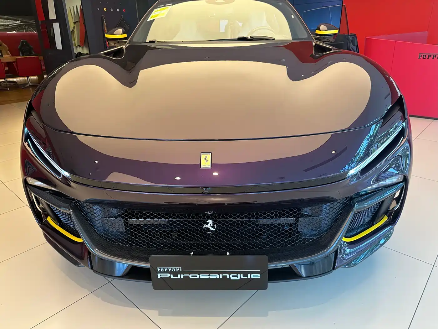 Ferrari Purosangue 2023 6.5L V12 фото 2