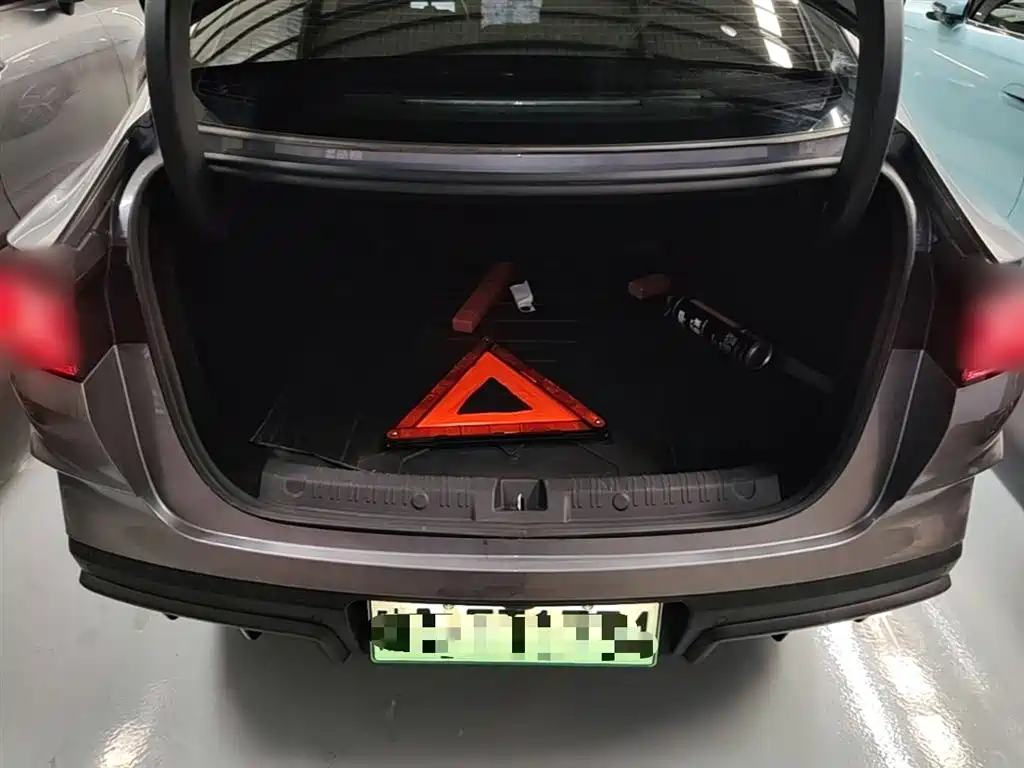 BYD Qin L 2024 DM-i 80KM Superior фото 19