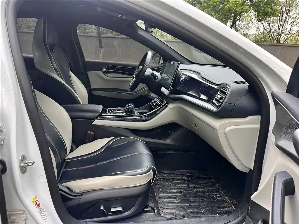 BYD Qin PLUS 2023 Champion Edition DM-i 120KM Excellence фото 7