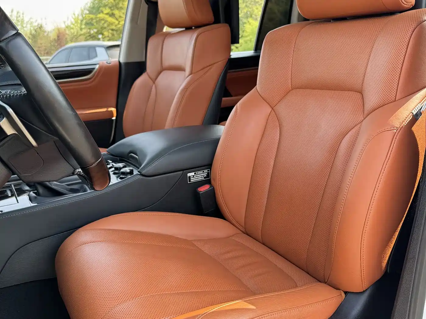 Lexus LX 2019 570 Dynamic Luxury Edition фото 16