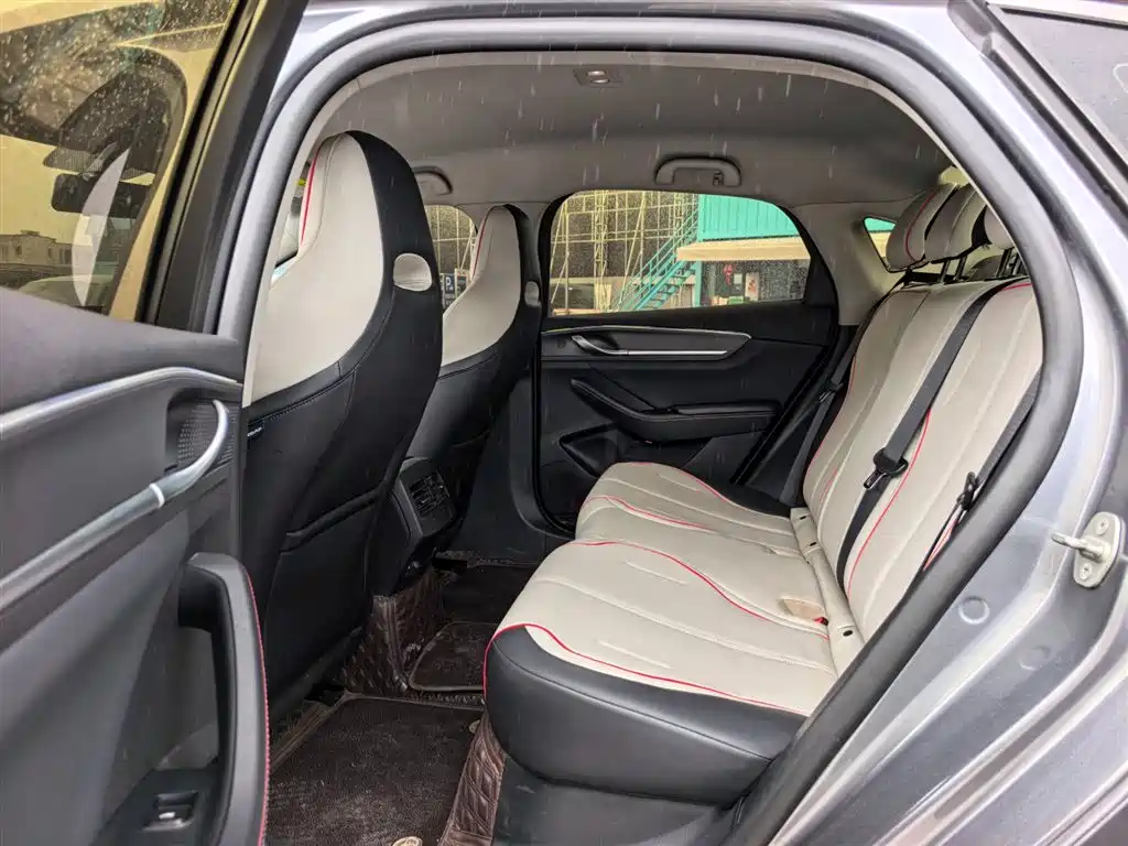 BYD Destroyer 05 2023 Champion Edition DM-i 55KM Luxury фото 11