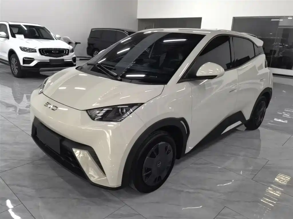 BYD Seagull 2024 Glory Edition 305km Vitality Edition