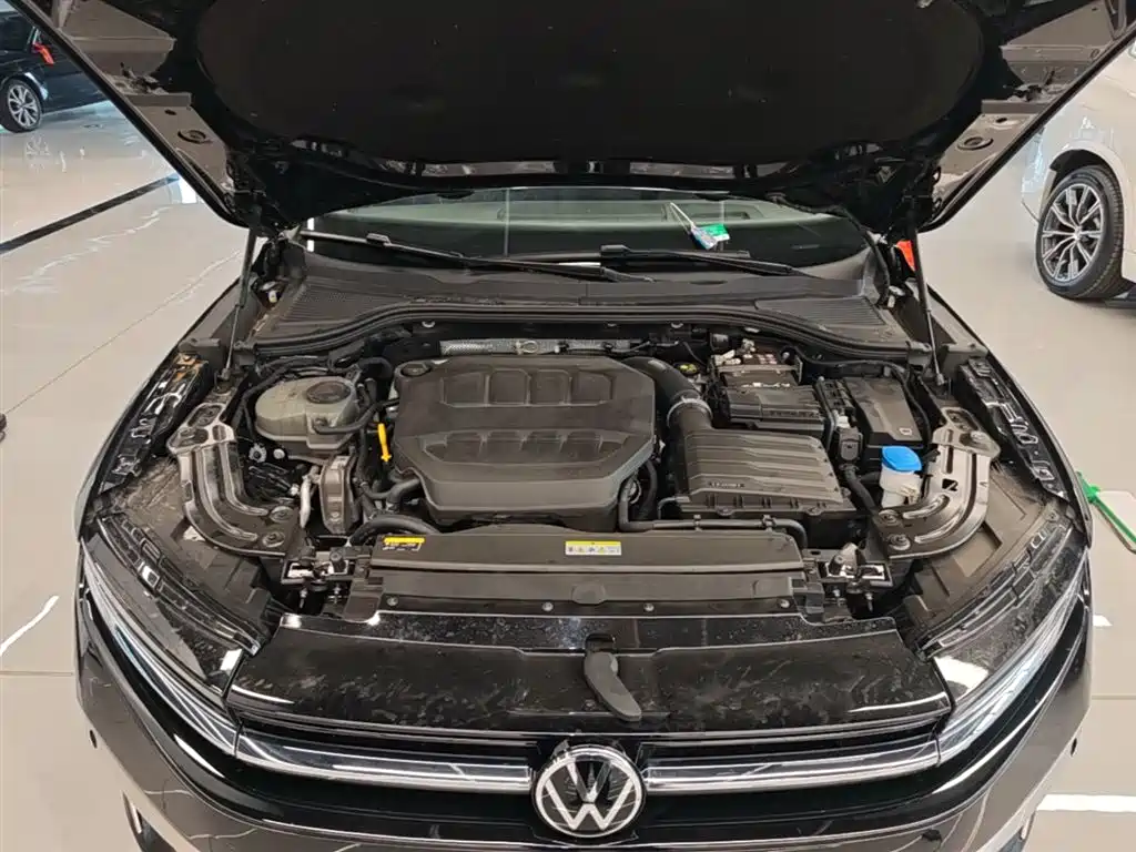 Volkswagen Magotan 2024 380TSI DSG Luxury Edition (Daimai Package) фото 20