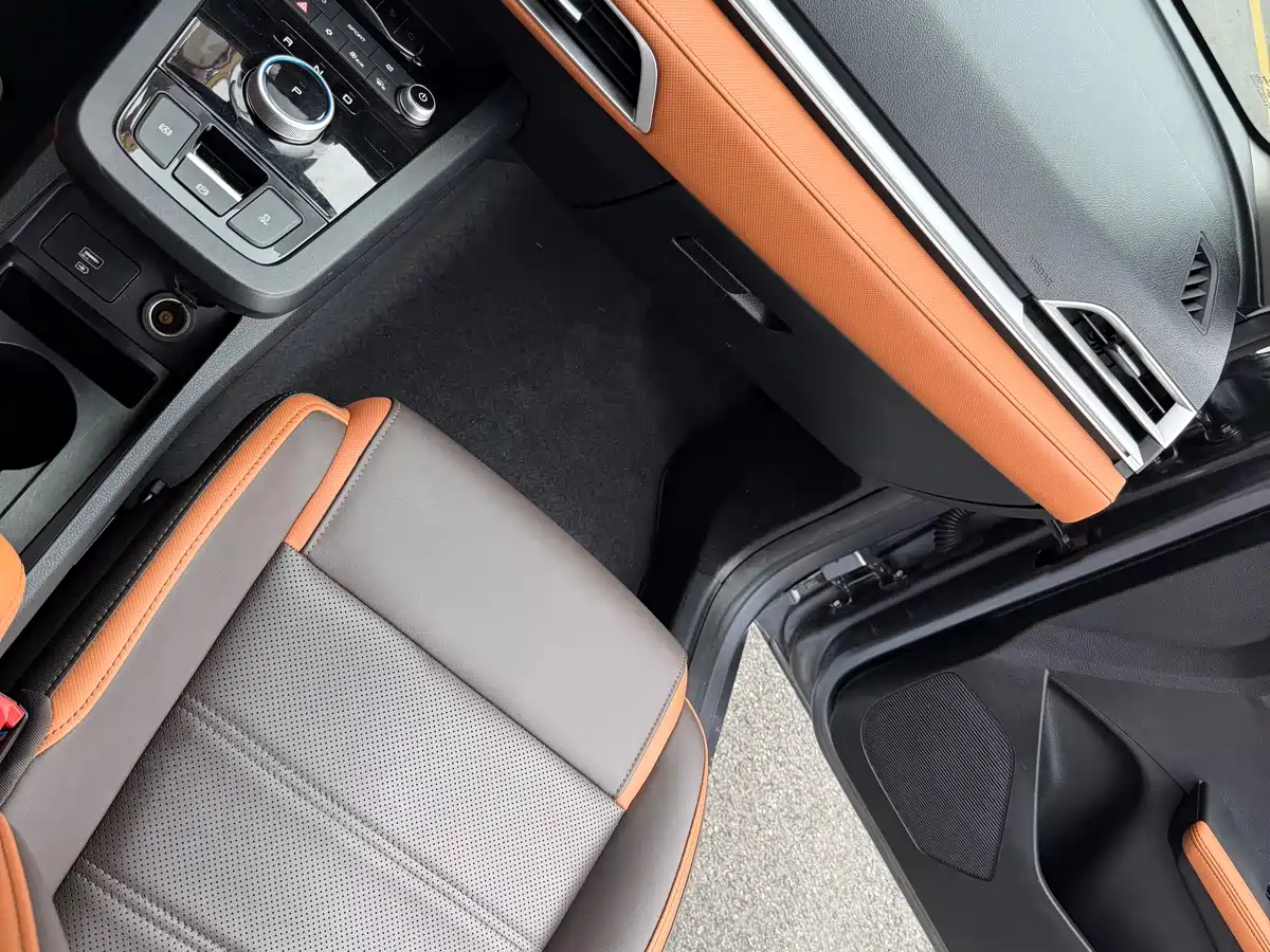 BYD e2 2021 Luxury Edition фото 30