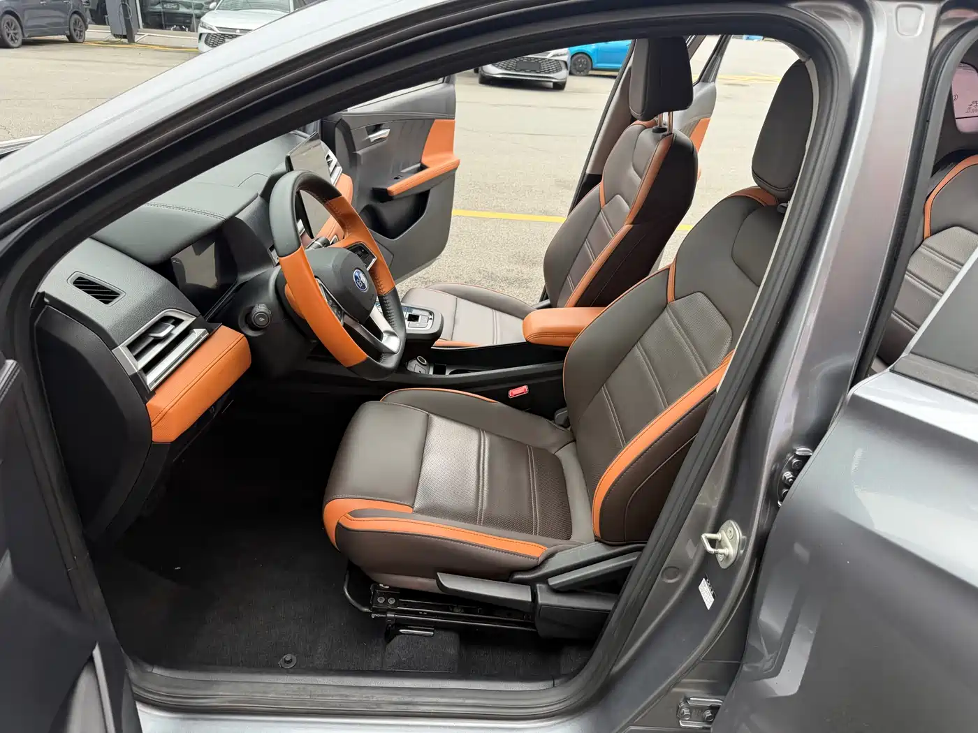 BYD e2 2021 Luxury Edition фото 29