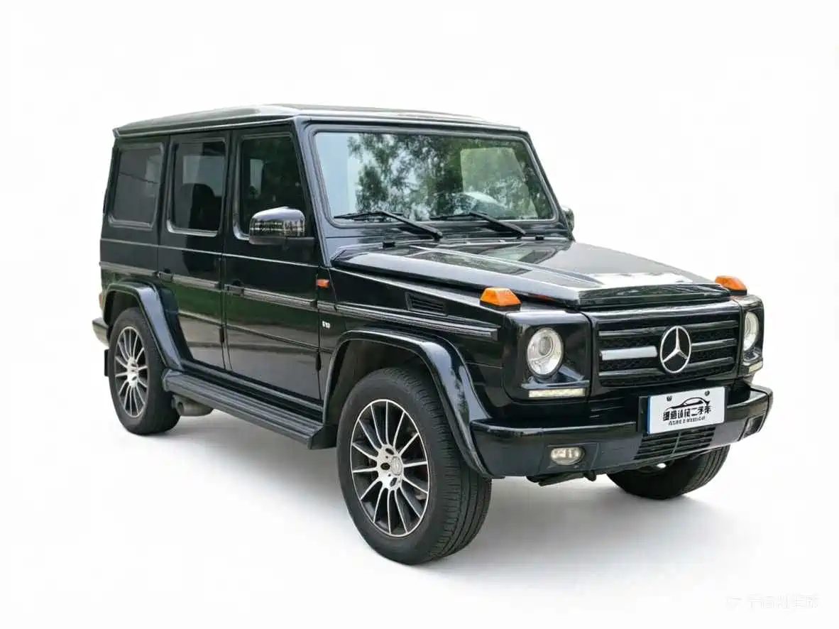 Mercedes-Benz G-Class 2010 G 500 фото 3