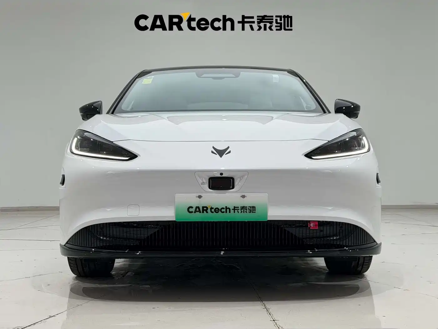 ARCFOX EXTREME FOX POLAR FOX ALPHA S6