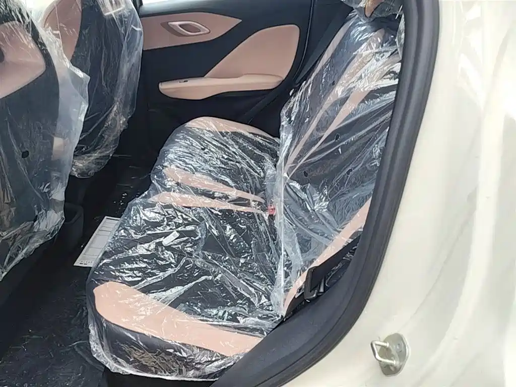 BYD Seagull 2025 Smart Drive Edition 305km Vitality Version фото 17