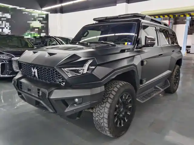 Mengshi 917 Последовательный гибрид, Базовая