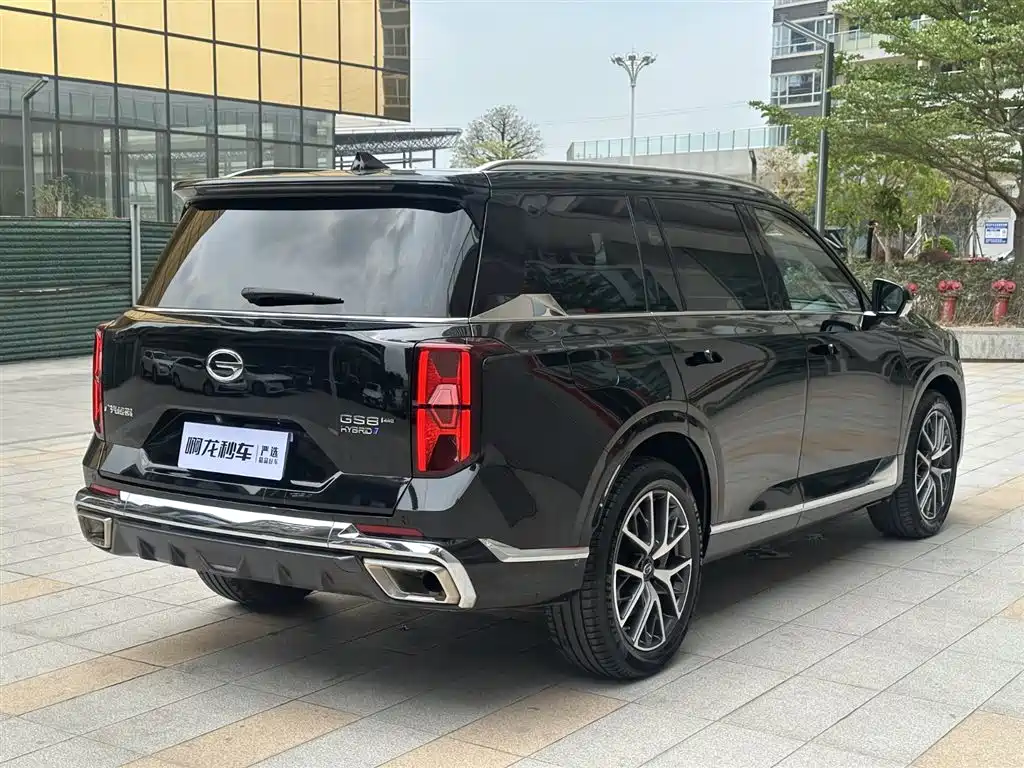 GAC Trumpchi Trumpchi GS8 2022 Dual Engine Series 2.0TM 2WD Premium Edition (6-Seater) фото 6