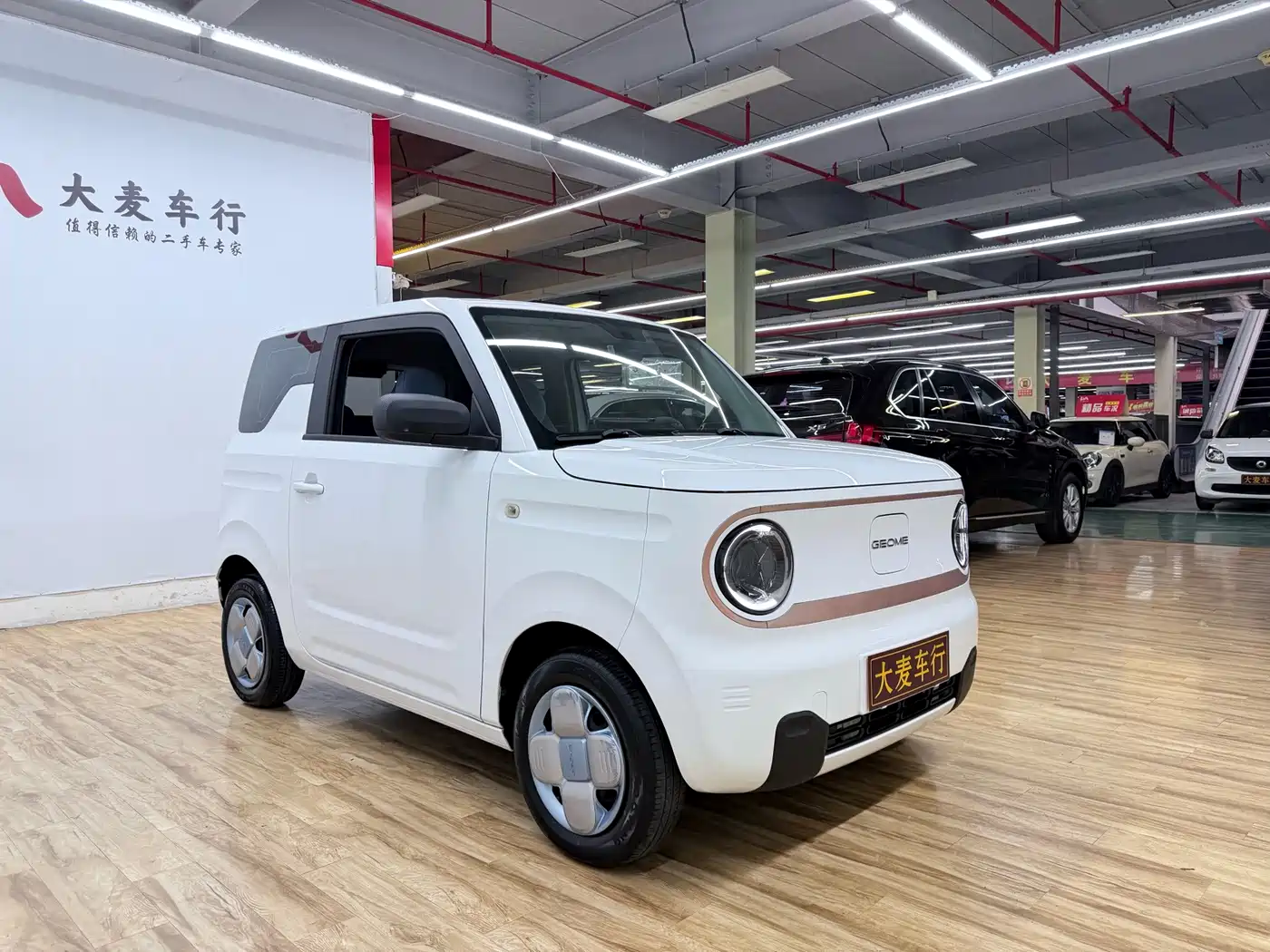 Geely Galaxy Panda 2023 2023 Panda Mini 200km Endurance Bear