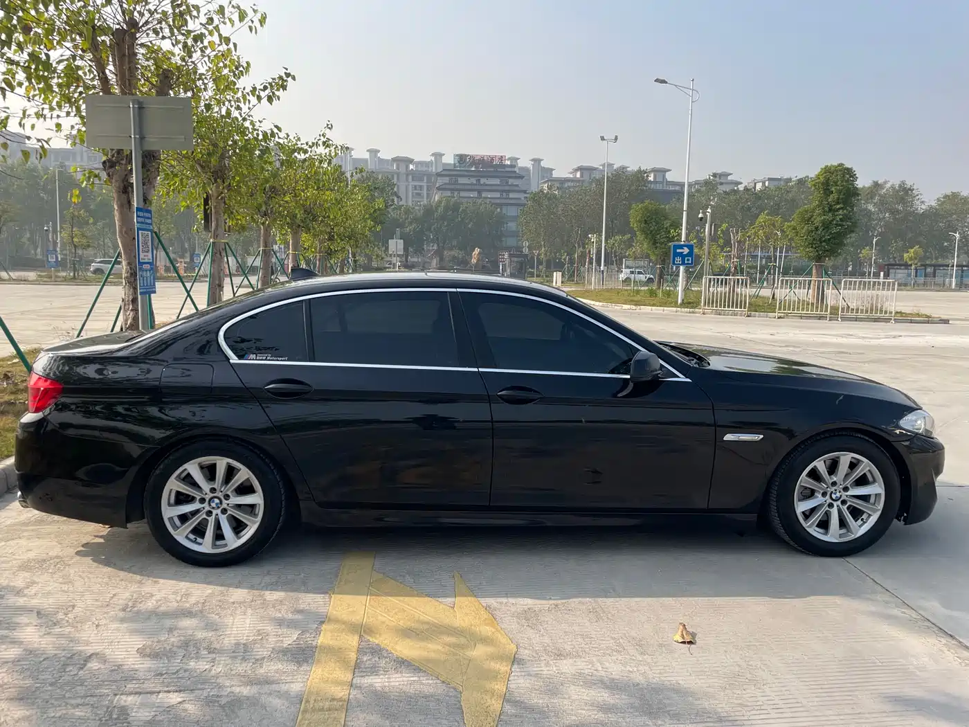 BMW 5 Series 2013 525Li Luxury фото 4
