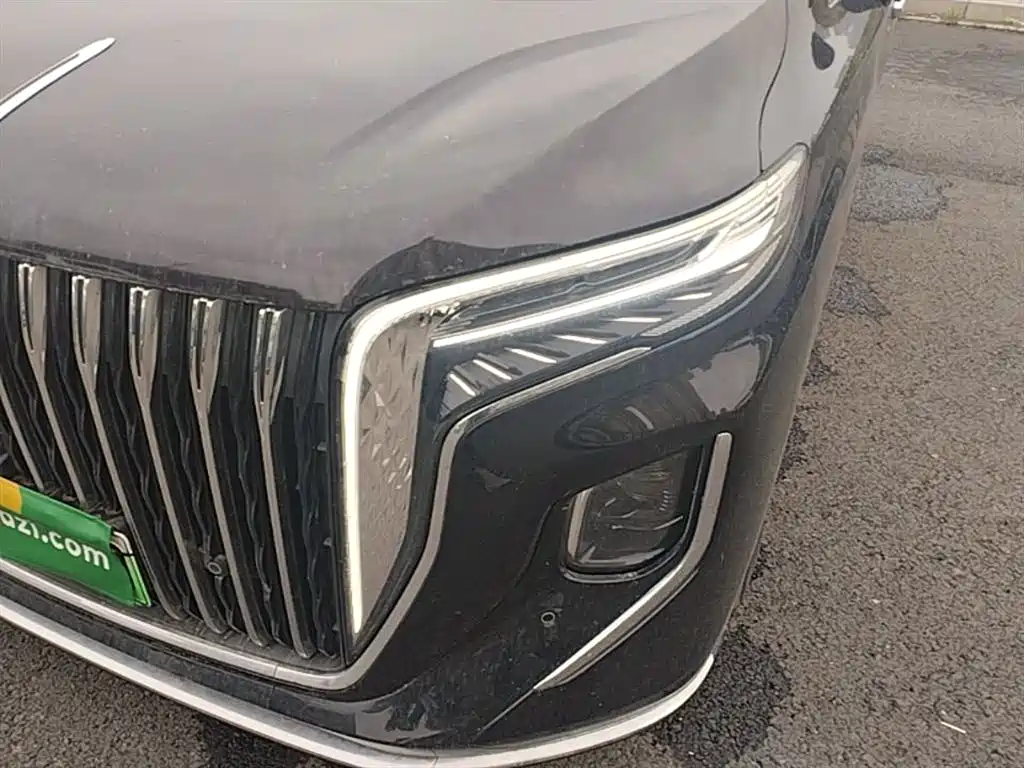 Hongqi HQ9 PHEV 2024 Model 2.0T AWD Business Edition фото 24