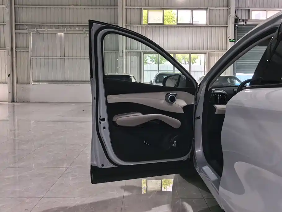 BYD Yuan PLUS 2025 2025 Smart Drive 510KM Surpass Edition