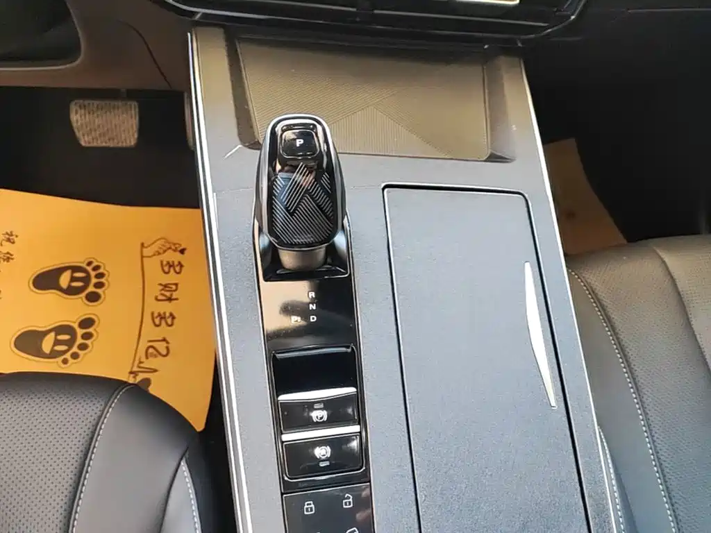Roewe RX5 MAX 2022 2022 1.5T Auto Promising Premium Edition