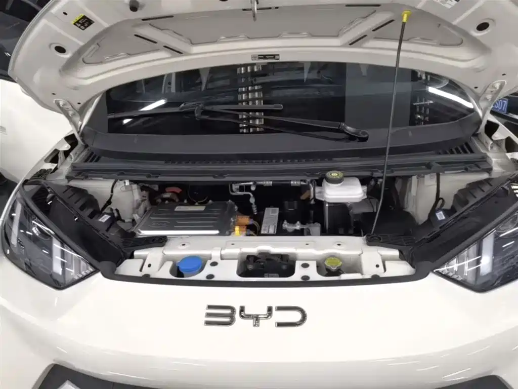 BYD Seagull 2024 Glory Edition 305km Vitality Edition фото 20