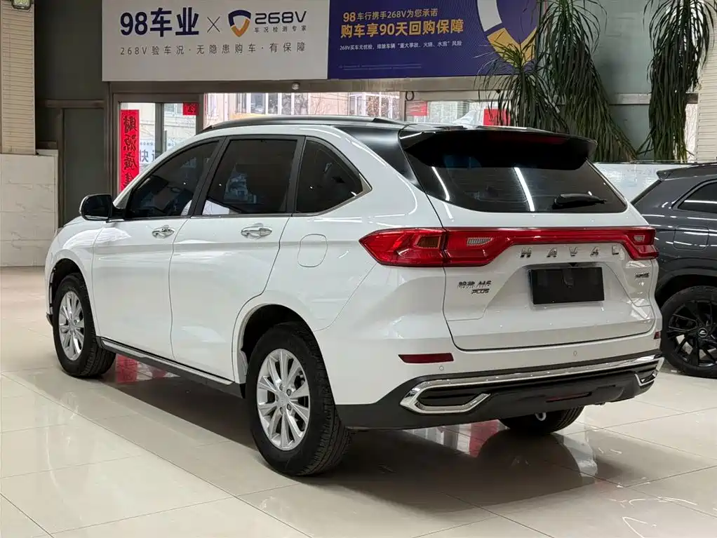 HAVAL M6