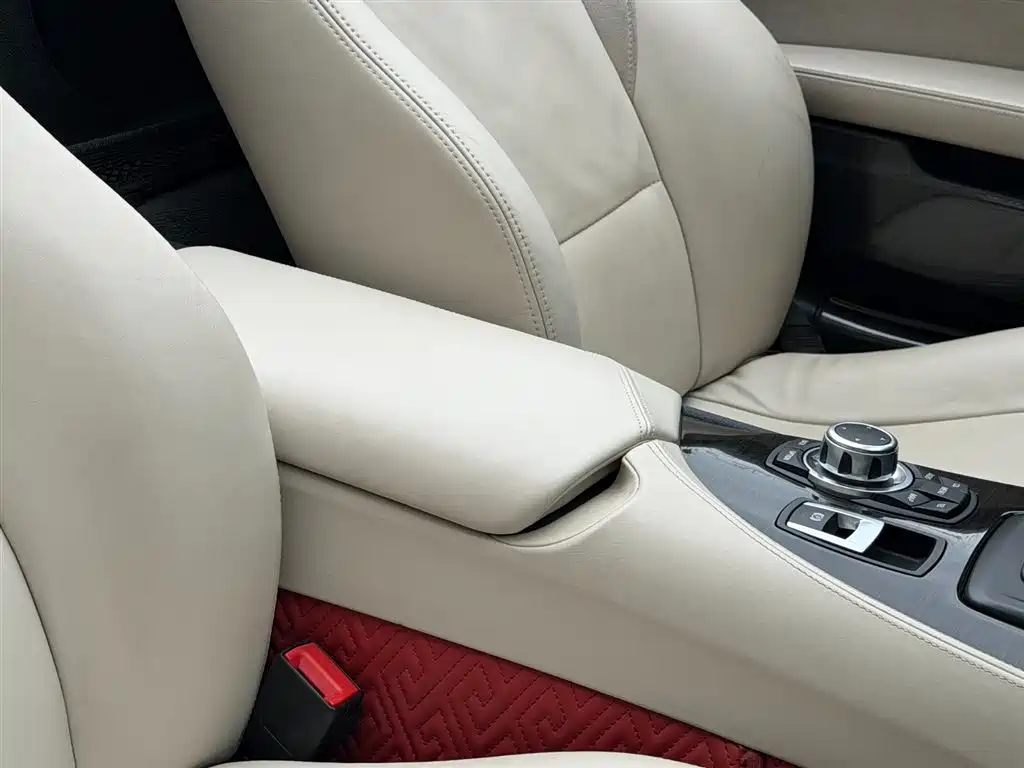 BMW Z4 2010 sDrive30i Leading Model фото 19