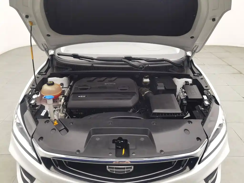 Фото 6 - Geely Binrui