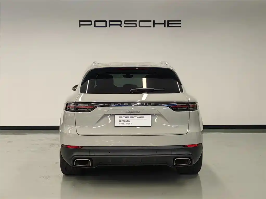 Porsche Cayenne 2022 Cayenne 3.0T Platinum Edition фото 6