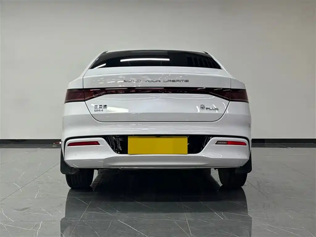 BYD Qin PLUS 2024 Glory Edition DM-i 55KM Leading фото 5