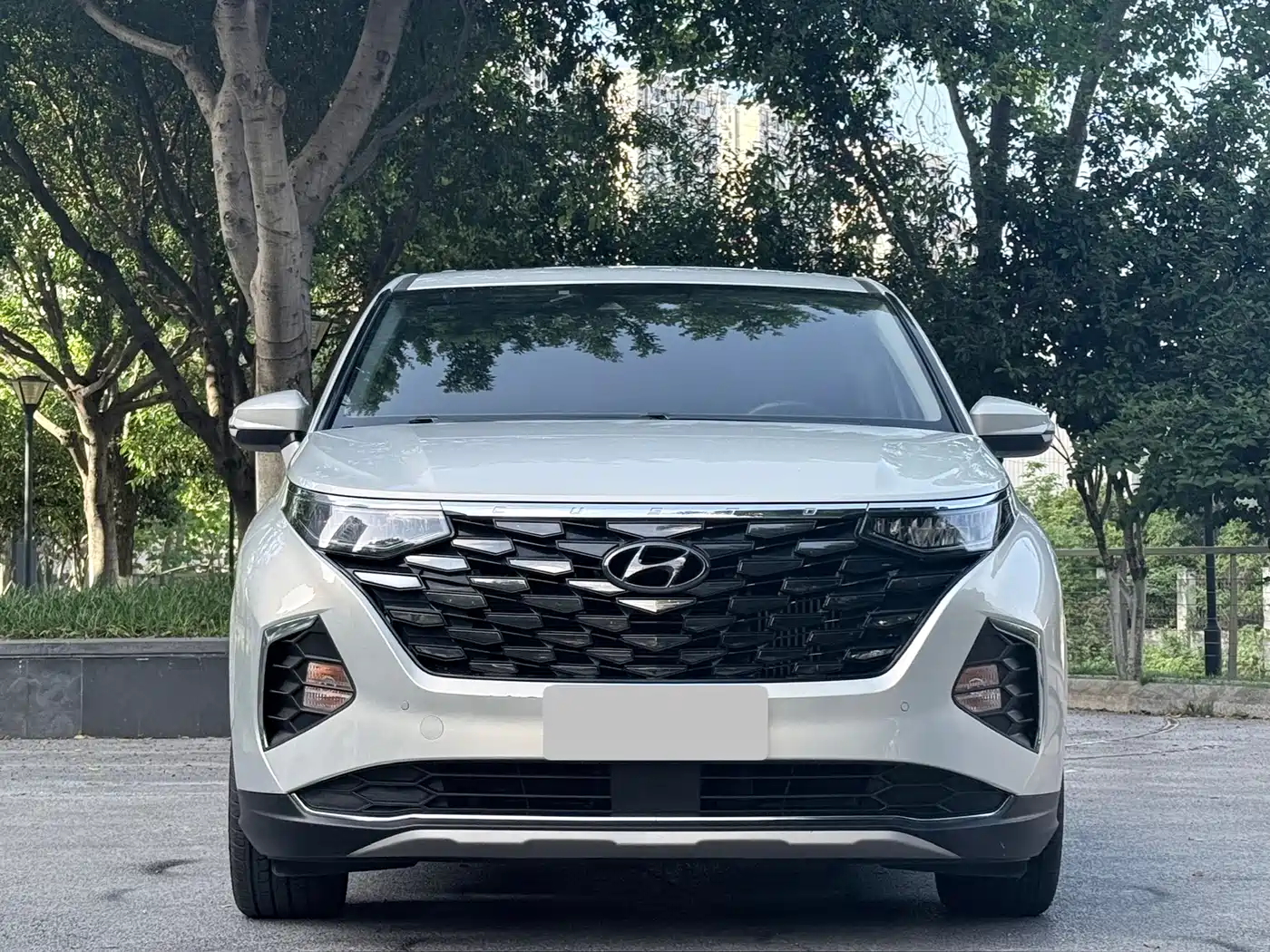 Hyundai Kustu 2021 380TGDi Luxury DLX фото 2
