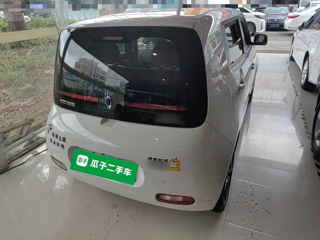 Ora White Cat 2021 2020 305km Luxury