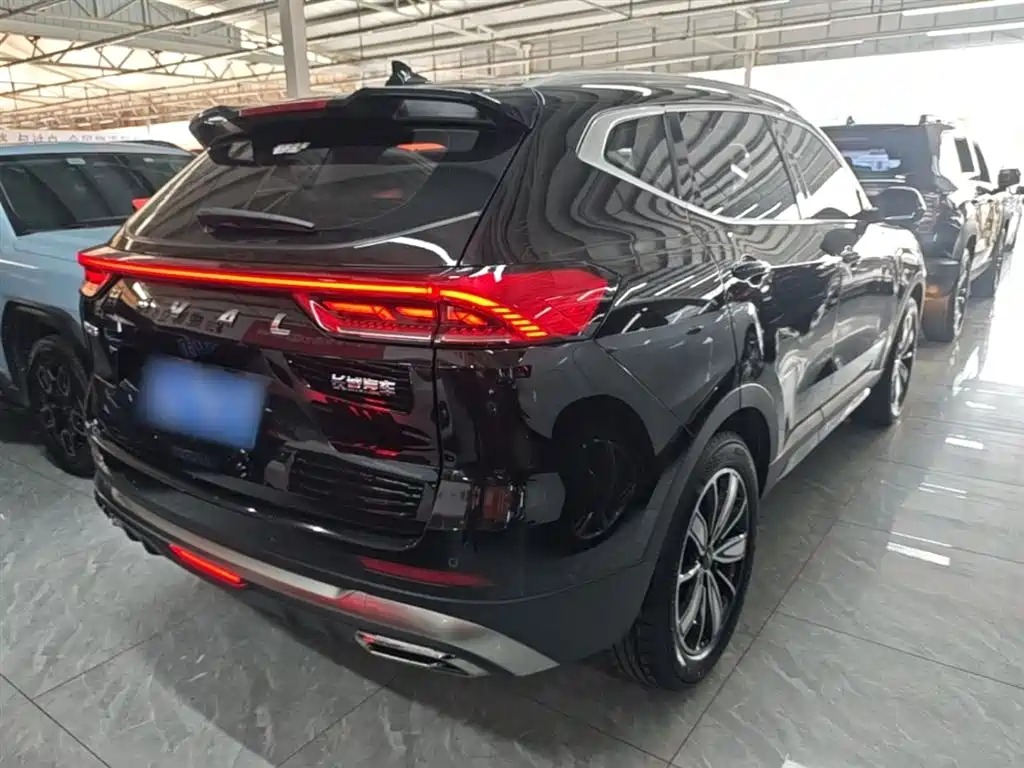 Haval H6 2023 National Trend Edition 1.5T Automatic Champion фото 7