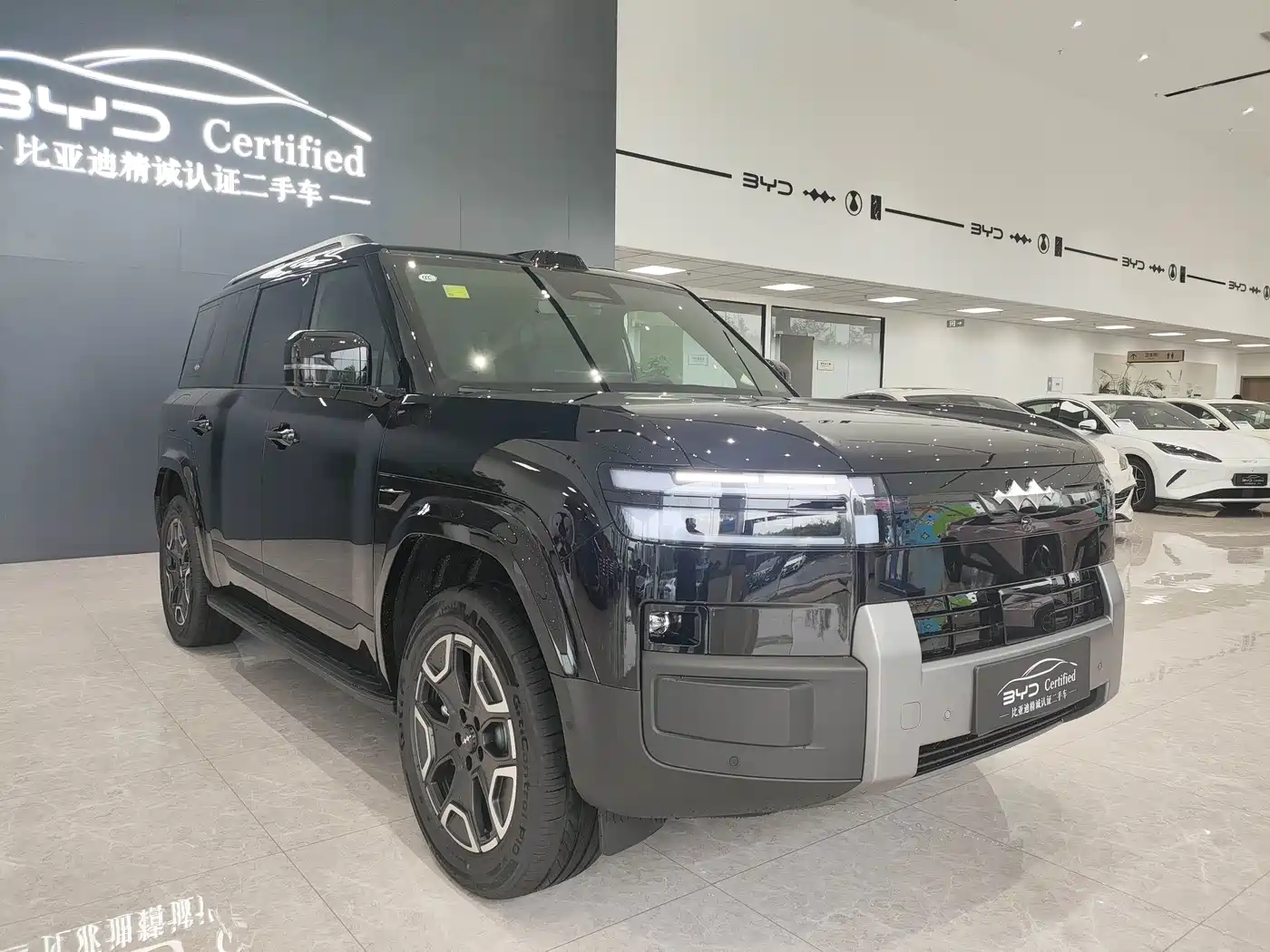 2026 Fang Cheng Bao Titanium 7